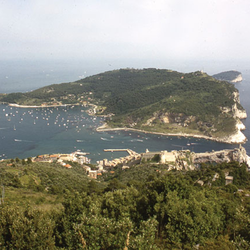 GVM MercuryHouseOne, Isola Palmaria