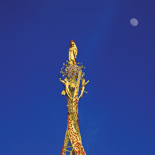 6th Transportation of FioreDelCielo
